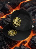 東レ/ブリザテック ハーフメッシュCAP (NewロゴGOLD)