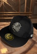 東レ/ブリザテック ハーフメッシュCAP (Newロゴガンメタ)