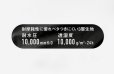 画像6: 2025限定 レインジャケット (BLACK×ホワイト)