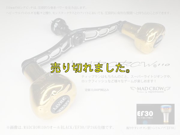 画像1: MAD CROW 110 / FE30 / IP24K仕様