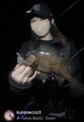 CURVE CAP【BLACK】ロボクマ着ぐるみ