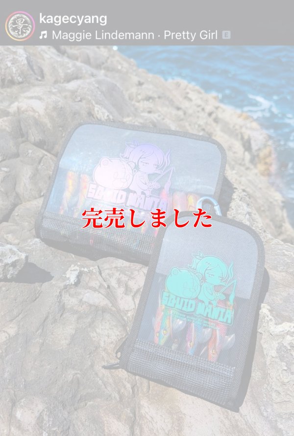 画像2: エギケースミニW底メッシュ/着ぐるみお姉さん