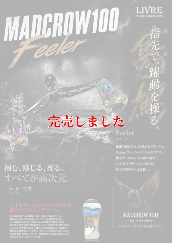 画像1: MAD CROW 100 All BLACK フィーラー（ブレイズレイボー）