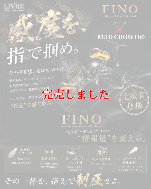 画像1: MAD CROW 100 All BLACK フィーノ（オーロラGOLD）