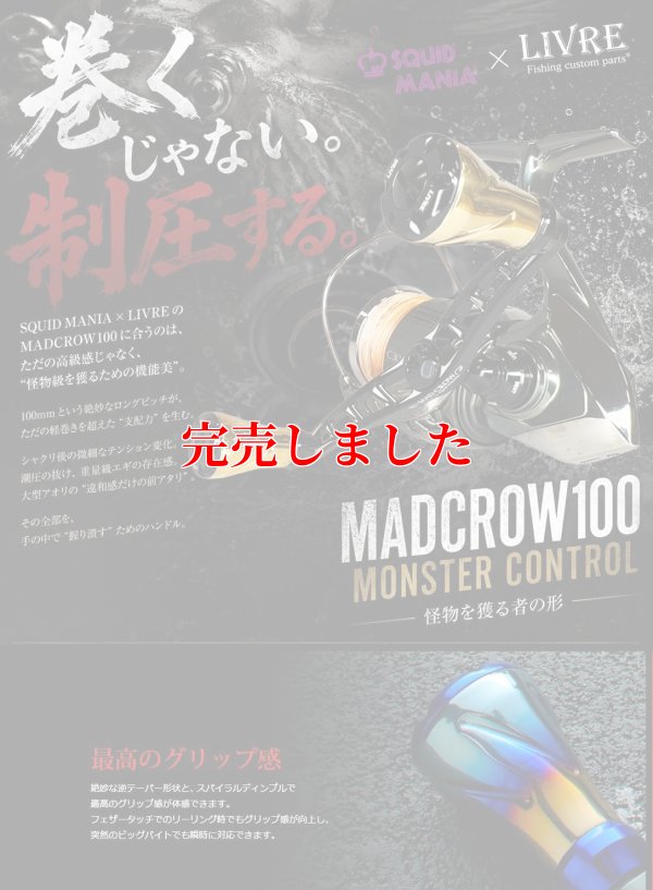 画像1: MAD CROW 100 All BLACK フォルテ『IP24Kカラー』