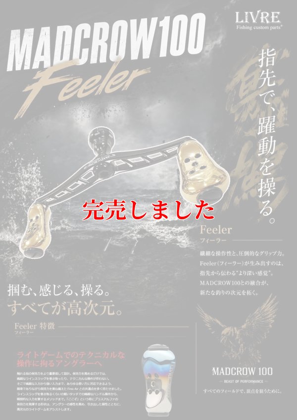 画像1: MAD CROW 100 All BLACK フィーラー（オーロラGOLD）