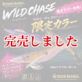限定/WILDCHASE 3.5号 #IK07 アフターダーク