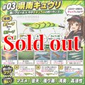 WILD CHASE 3.5号（03）県南キュウリ