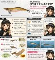 画像3: WILD CHASE 3.5号(15)茶豆アジ/ホロクリア (3)
