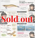 WILD CHASE 3.5号(15)茶豆アジ/ホロクリア