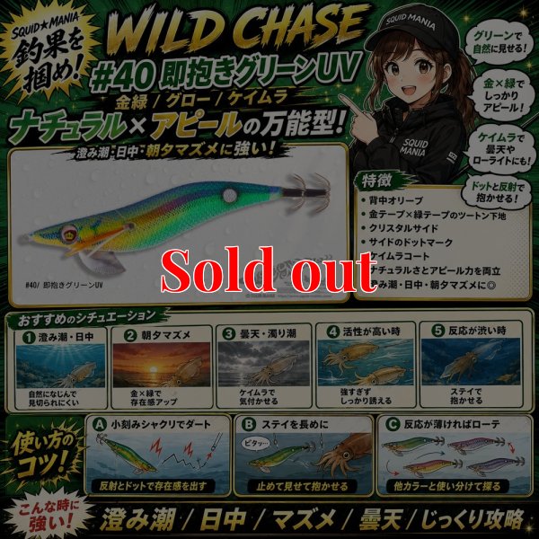 画像1: WILD CHASE 3.5号 (40) 即抱きグリーンUV