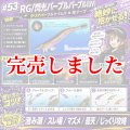 4.0plus (53) RG/閃光パープルパープル (UV)