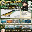 画像1: Night Shade 4.0plus  (40) 即抱きグリーンUV (1)