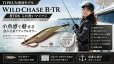 画像1: TIPRUN/B-TR 3.0号 25ｇBT06入れ食いマメアジ (1)