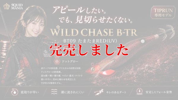 画像1: RT3.5号 30ｇB-TR (BT09)たまたまRED(UV)