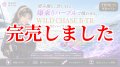 TIPRUN/B-TR 3.5号 30ｇBT13爆乗りパープル (UV＆REDglow)