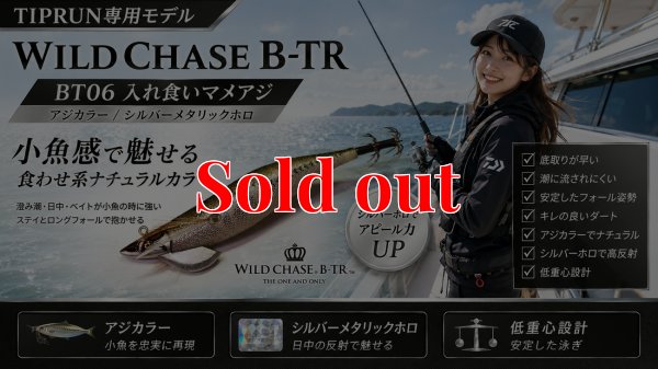 画像1: TIPRUN/B-TR 2.5号 15ｇBT06入れ食いマメアジ