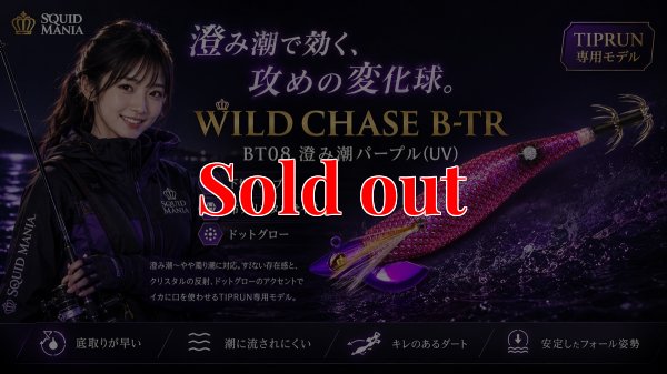 画像1: TIPRUN/B-TR 3.0号 25ｇBT08澄み潮パープル(UV)