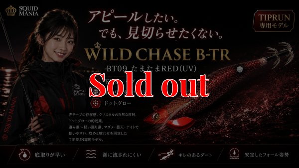 画像1: TIPRUN/B-TR 2.5号 15ｇBT09たまたまRED(UV)