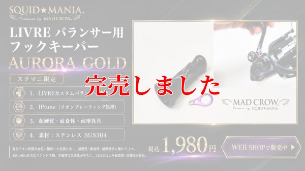 画像1: LIVRE バランサー用 フックキーパー Aurora