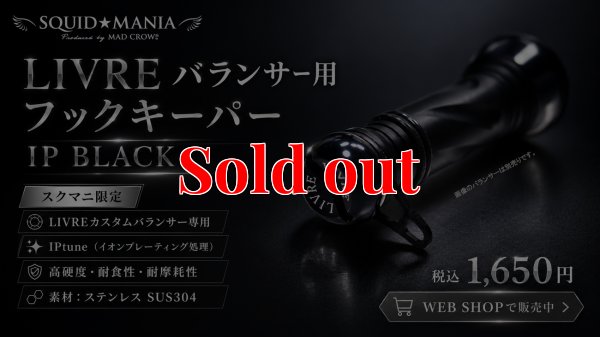 画像1: LIVRE バランサー用  フックキーパー IP BLACK