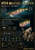 WILD CHASE 3.5号（04）磯スジエビ/ホロクリア