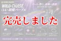 3.5号SS (14) 胡蝶パープル