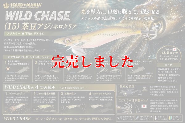 画像1: 3.5号(15)茶豆アジ/ホロクリア