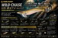画像1: WILD CHASE 3.5号ラトル (15)茶豆アジ/ホロクリア (1)