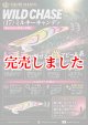 WILD CHASE 2.5号（17）MILKY CANDY