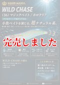 3.0号(16)マジックベイト/ホロクリア