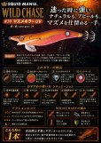 画像1: WILD CHASE  3.5号 (39) マズメキラーUV (1)