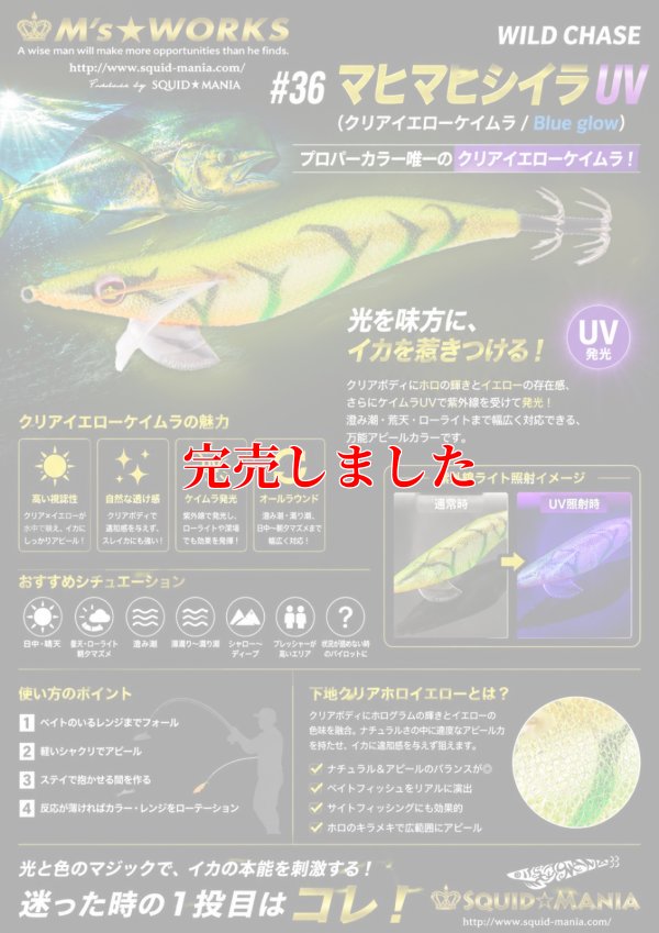 画像1: 3.5号 (36) マヒマヒシイラUV