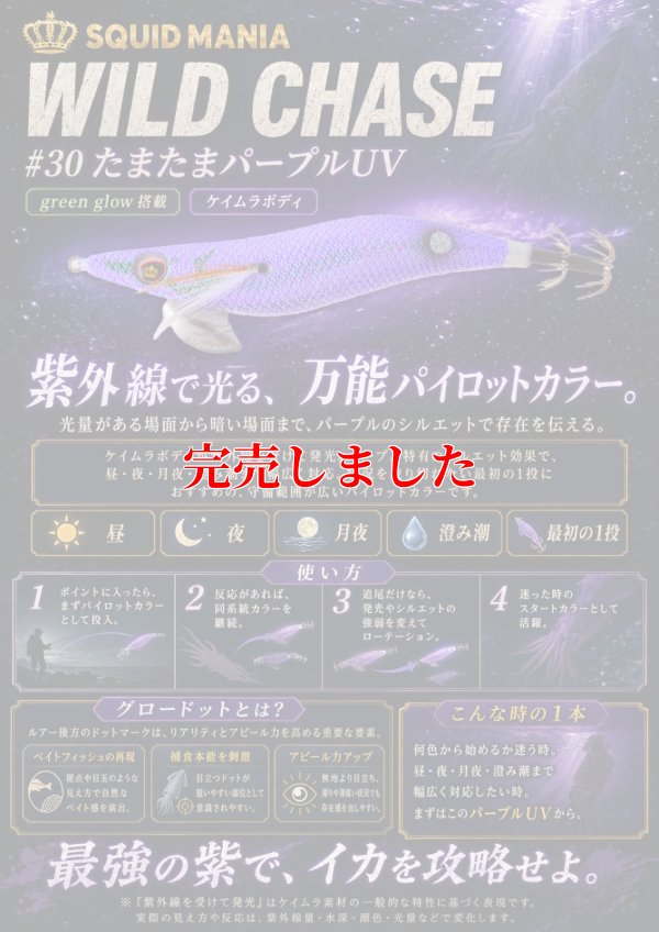 画像1: 2.5号(30) たまたまパープルUV（ glowdot ）