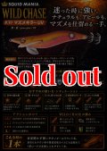 WILD CHASE  3.5号シャロー (39) マズメキラーUV