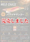 3.5号 (38) パパイヤマンゴー UV