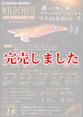 3.0号 (39) マズメキラーUV