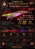 WILD CHASE 3.5号シャロー (54) RG/閃光グリーンレッド(UV)
