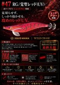 WILD CHASE  3.5号シャロー (47) RG/覚聖レッド(UV)