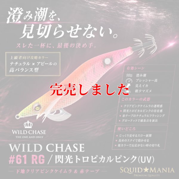 画像1: 3.5号 (61) RG/閃光トロピカルピンク(UV)
