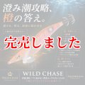 3.5号SS (62) RG/閃光メープルオレンジ(UV)