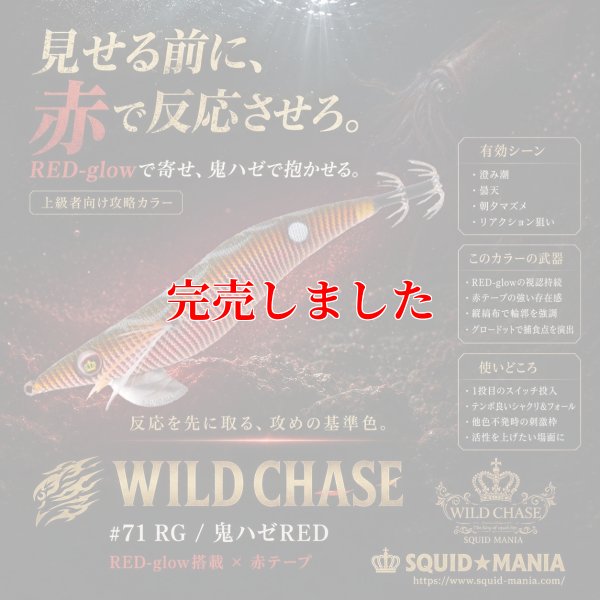 画像1: 3.5号SS (71) RG/鬼ハゼレッド