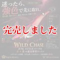 3.5号 (76)  ストロボパープル