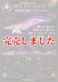 3.5号RT (53) RG/閃光パープルパープル (UV)