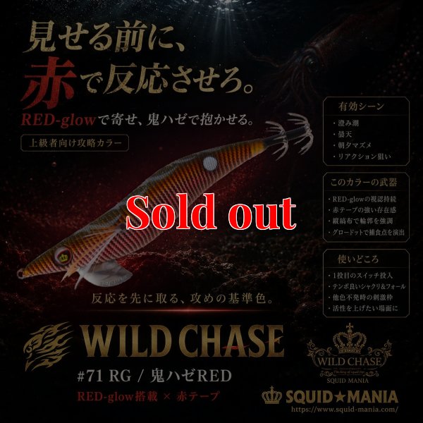 画像1: WILD CHASE 3.0号 (71) RG/鬼ハゼレッド