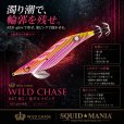 画像1: WILD CHASE 3.5号シャロー (67) RG/鬼ダルマピンク (1)