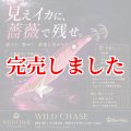 3.5号SS (63) RG/閃光キラキラピンクローズ(UV)