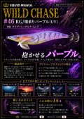 WILD CHASE  3.5号シャロー（46）RG/爆乗りパープル (UV)