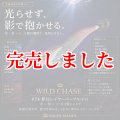 3.5号 (74)  夢幻レイヤーパープル(UV)