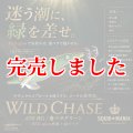 3.5号SS (70) RG/鬼ベラグリーン